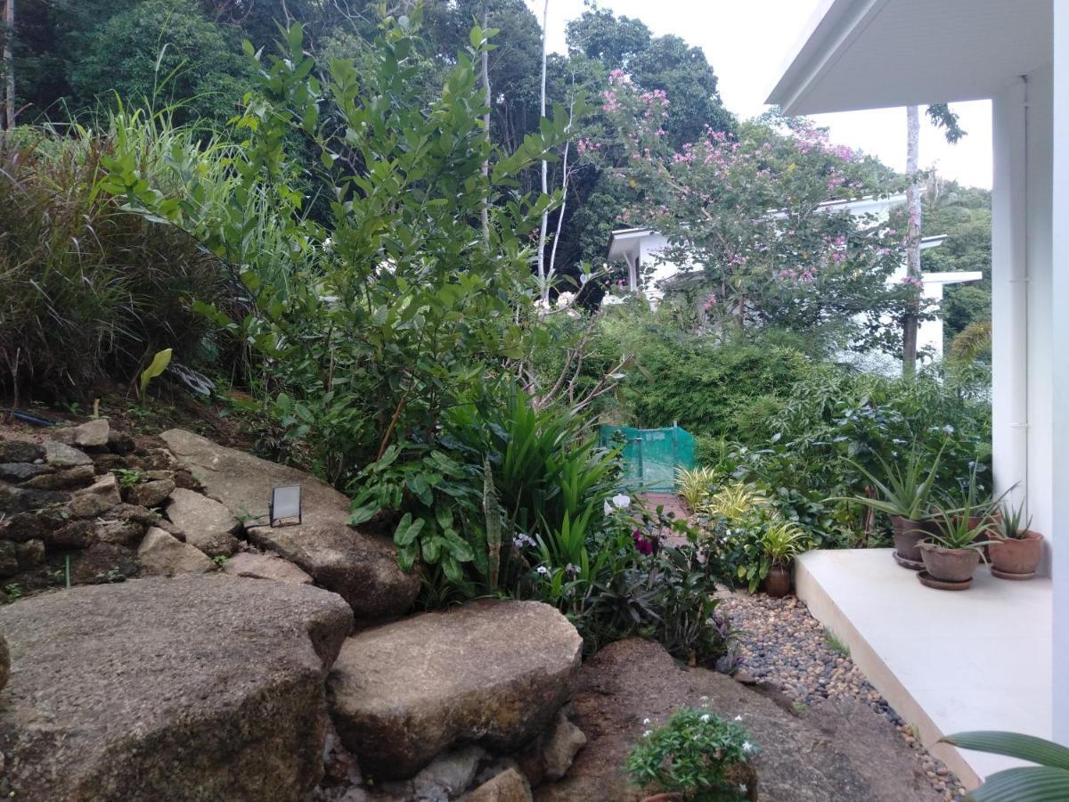 Perfect Sea View Mountain Villa Koh Samui Chaweng Extérieur photo