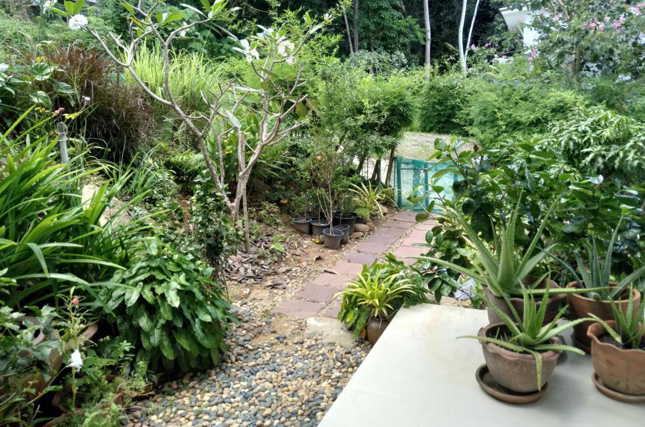 Perfect Sea View Mountain Villa Koh Samui Chaweng Extérieur photo